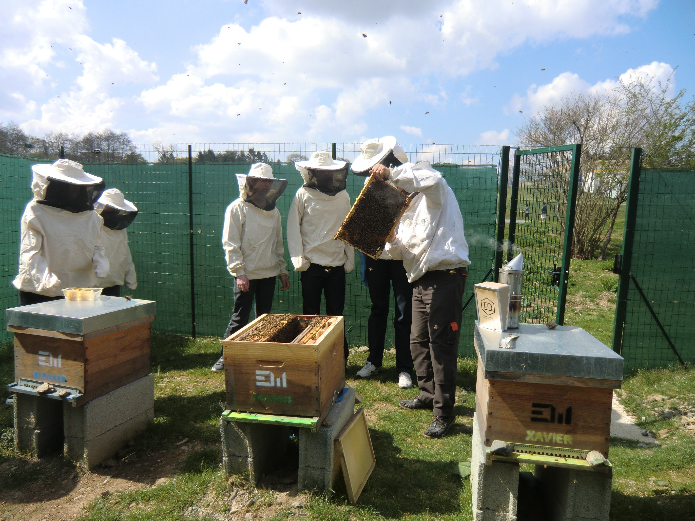 Débuter en apiculture MAT-API