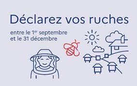 Comment déclarer ses ruches en ligne ou par voie postale ? MAT-API